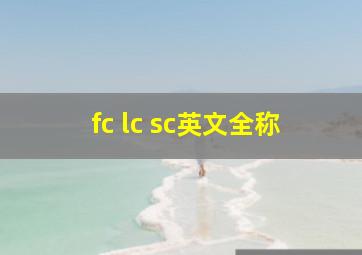 fc lc sc英文全称